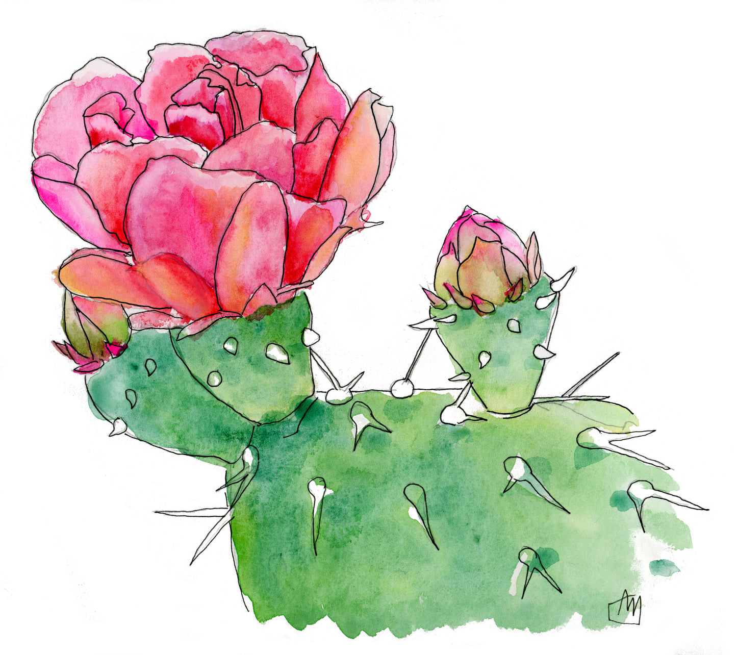 Cactus Giclee Print