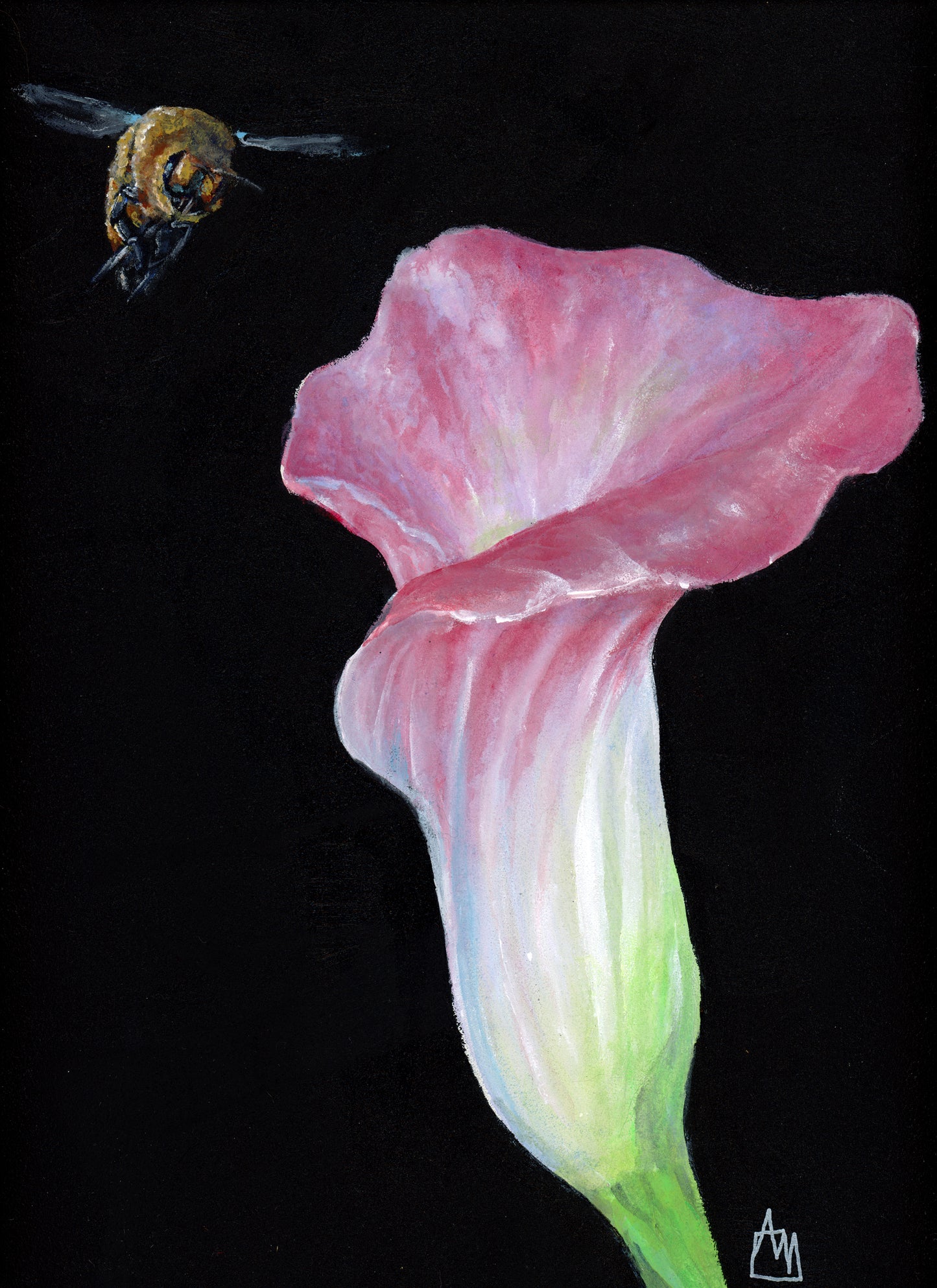 Calla Lily and Bee Giclee Print