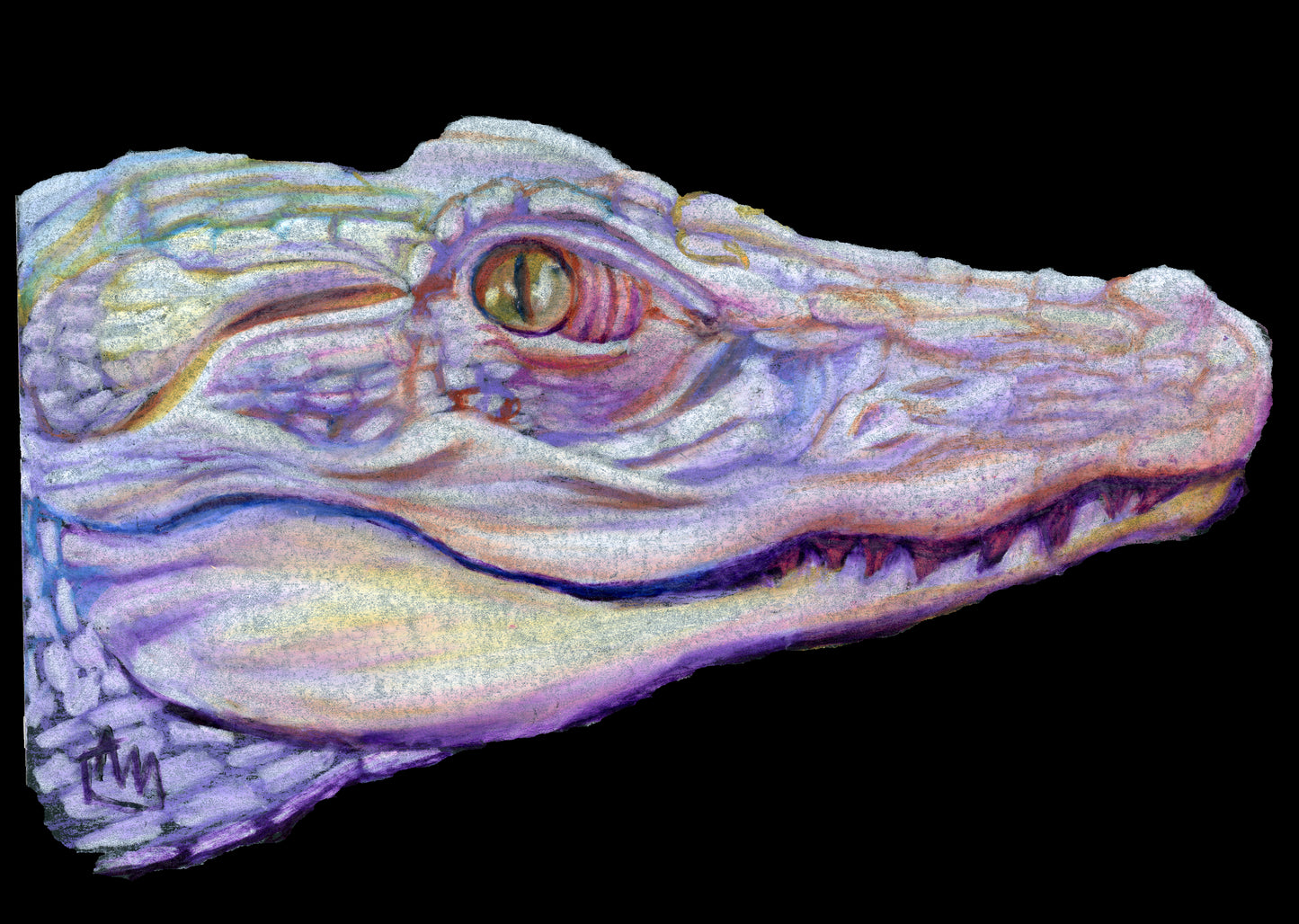 Mardi Gras Gator Giclee Print