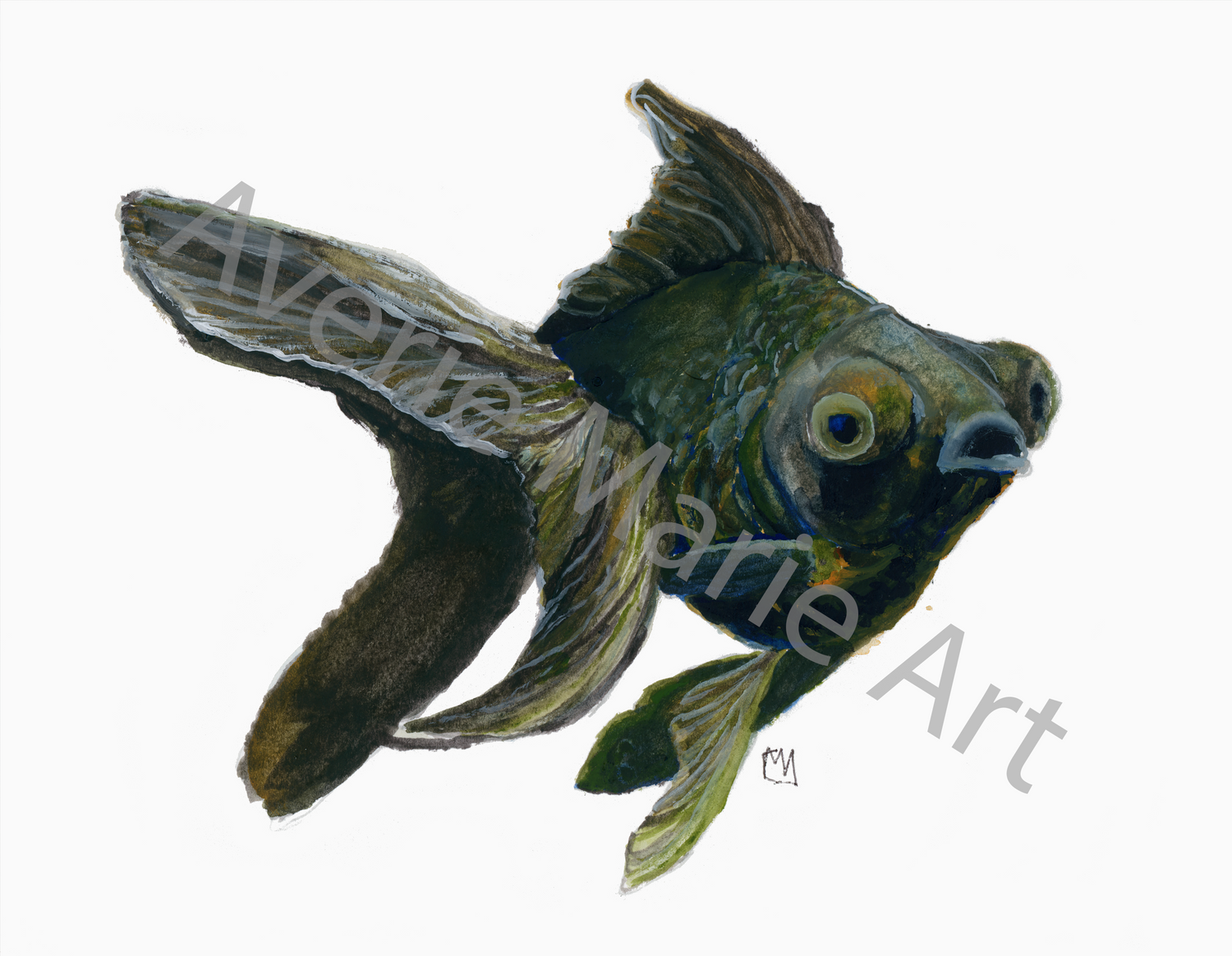 Black Moor Goldfish