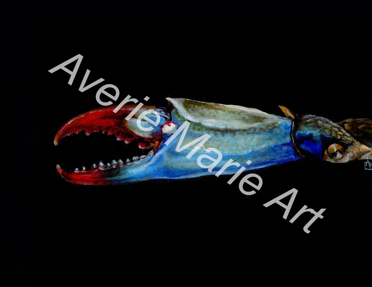 Blue Crab Claw