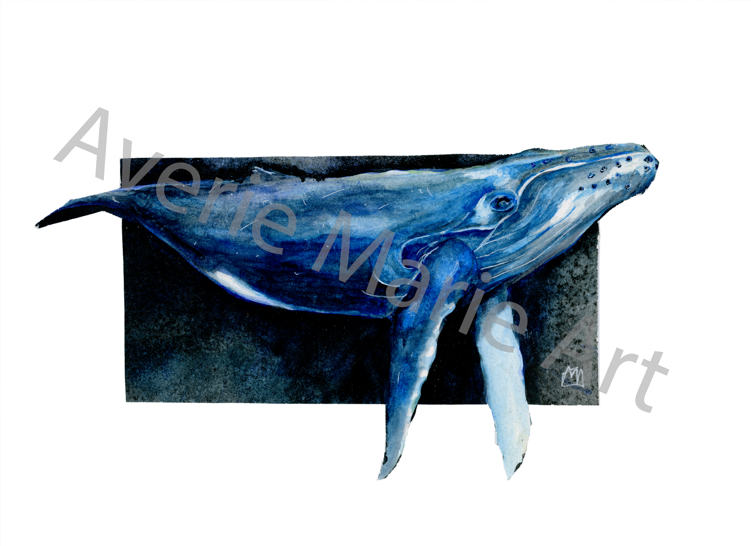 Blue Whale