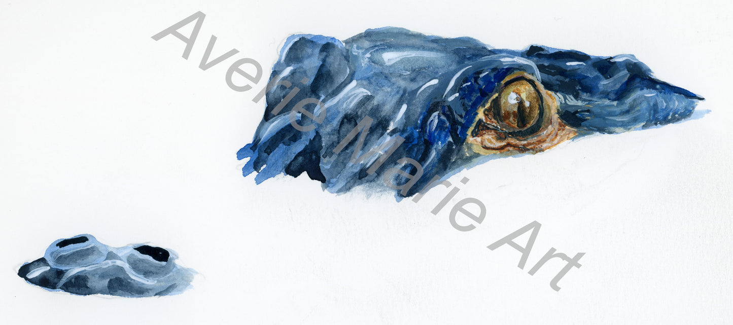 Blue Gator Giclee Print