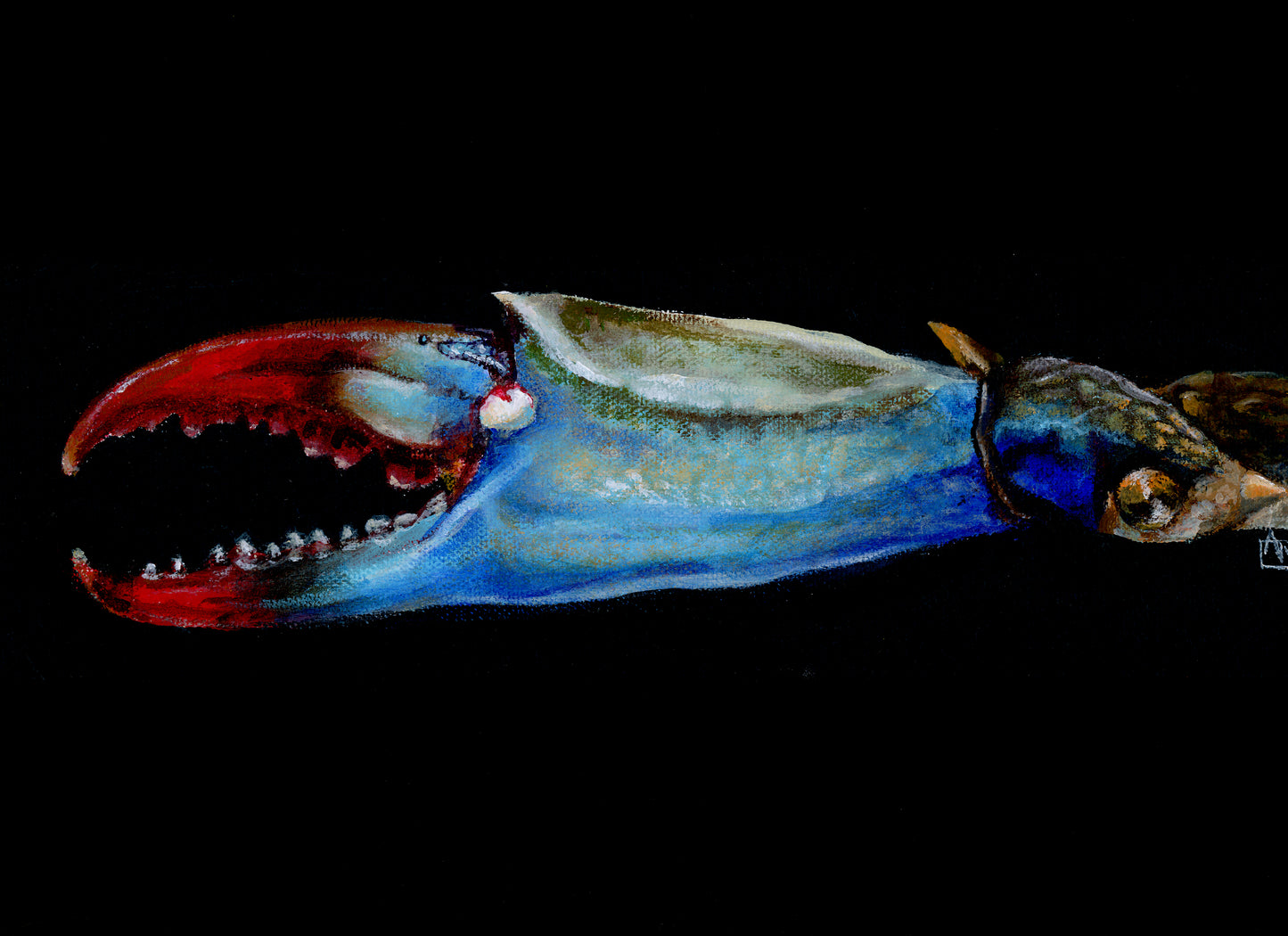 Crab Claw Giclee Print
