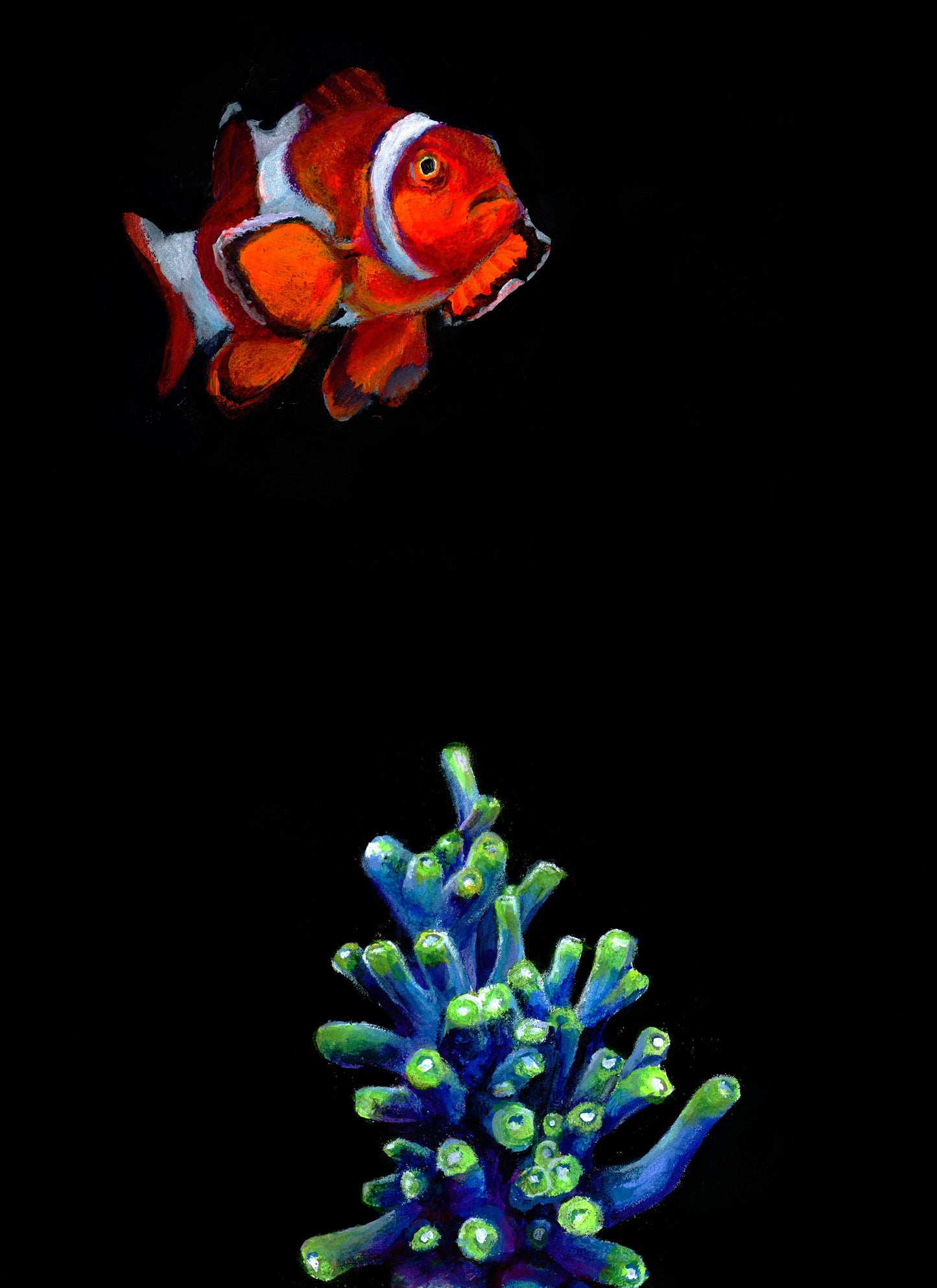 Clownfish and Coral Giclee Print