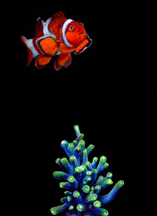 Clownfish and Coral Giclee Print