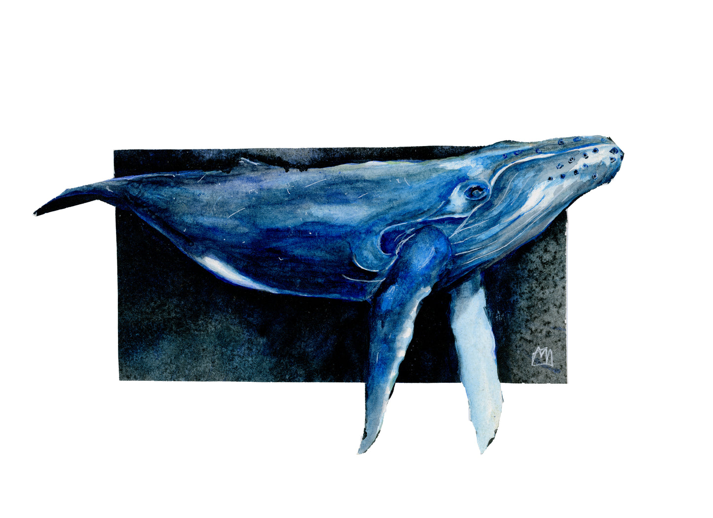 Humpback Whale Giclee Print