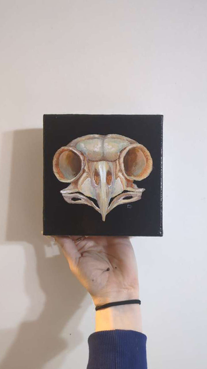 Owl Skull Acrylic Painting (Original)