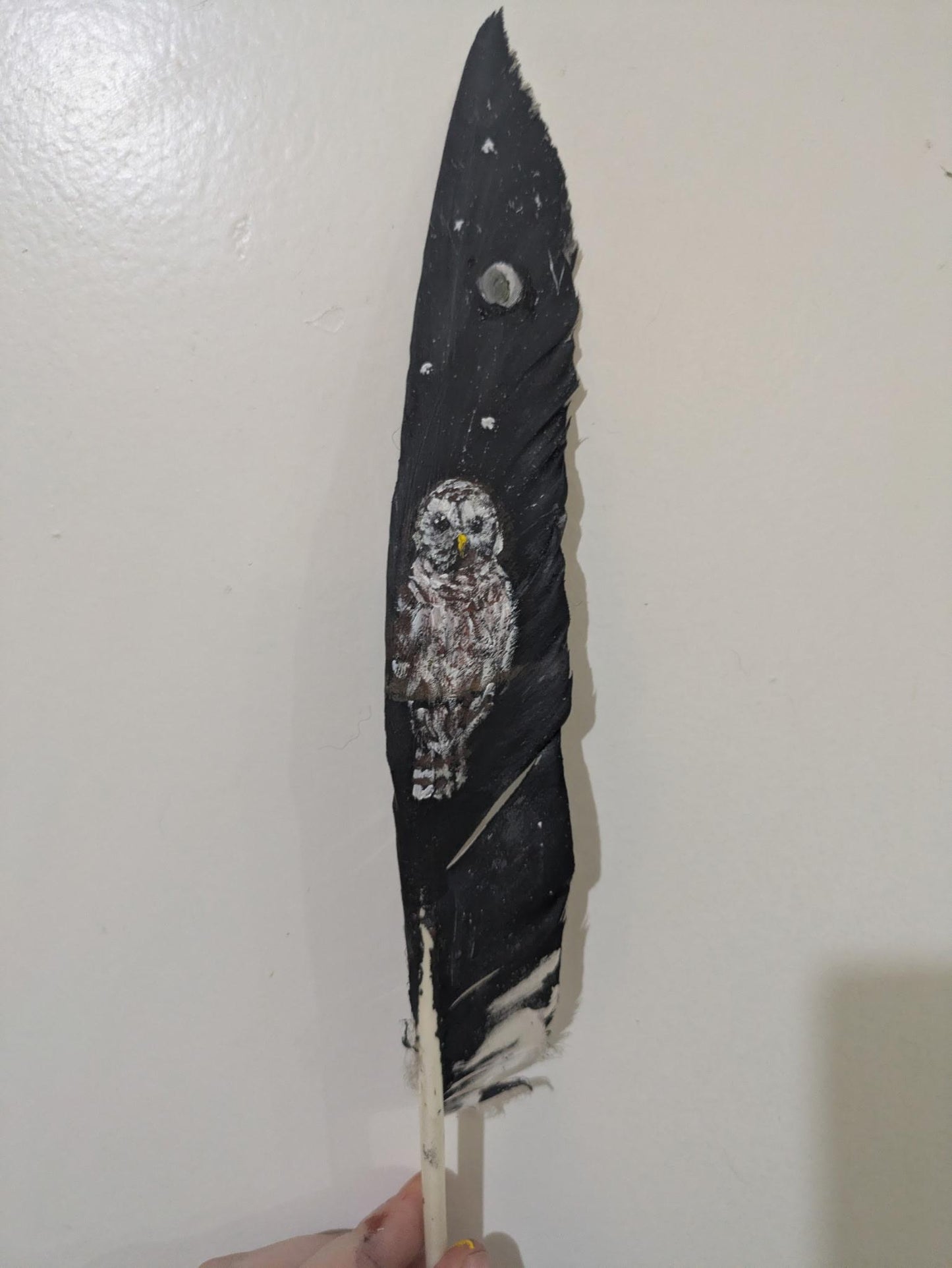Owl on Goose Feather (Original)