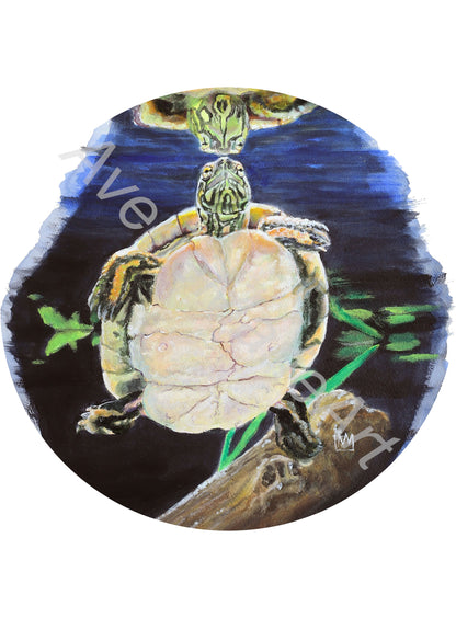 Turtle Giclee Limited Signed Print